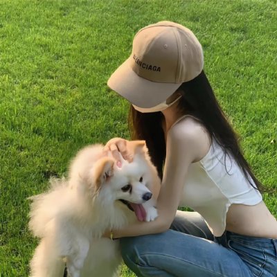 芝士伙伴